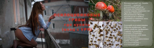 первитин Алексеевка