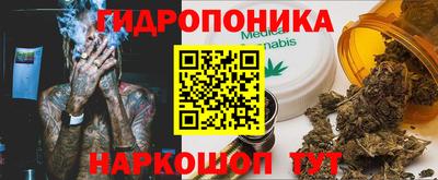 прущие грибы Краснодар