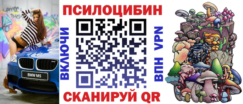 Галлюциногенные грибы Psilocybe  Коркино 