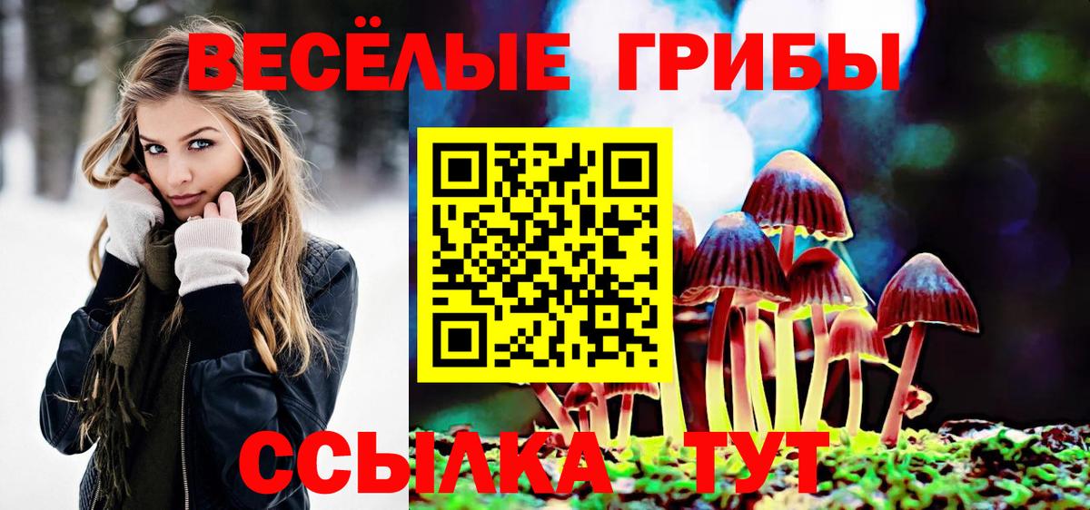 Галлюциногенные грибы MAGIC MUSHROOMS Коркино