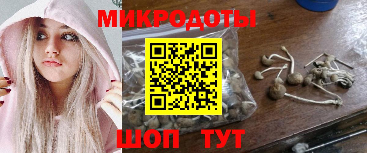 Коркино  Галлюциногенные грибы Psilocybe  Галлюциногенные грибы Cubensis  Вход с VPN 